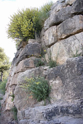 Contrafuerte de la muralla de Puntal dels Llops (Olocau) (Fotografía Consuelo Mata, 2001)